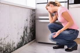 Best Mold Prevention Services  in Oberlin, LA